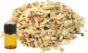 Angelica Root Oil