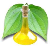 Betel Leaf Oil