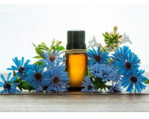 Chamomile Blue Oil