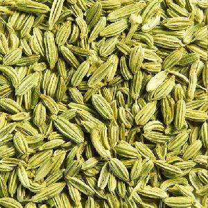 Fennel Seeds