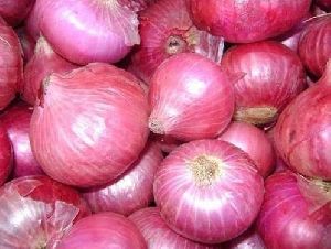 Fresh Pink  Onion