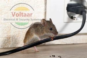 Rodent Repellent System Installation Services