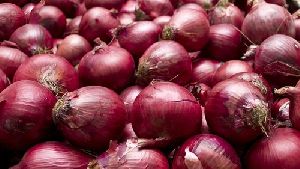 Fresh Red Onion