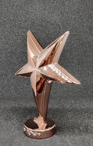 zinc alloy copper small star trophy