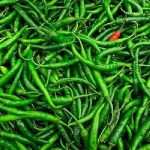 Fresh Green Chilli