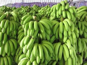 Fresh Canvdish Banana