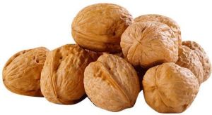 Shelled Walnut