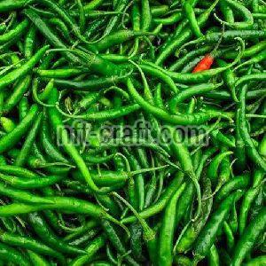 Fresh Green Chili