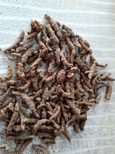 Turmeric Noclaim Seeds
