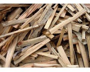 pine wood scrap