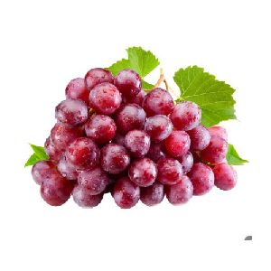 Fresh Red Grapes