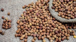 Organic Brown Chickpeas