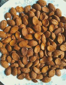 mamra kashmiri almond kernel