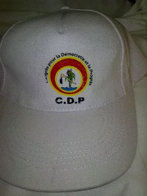 Election Caps