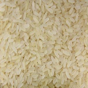 ir 8 rice