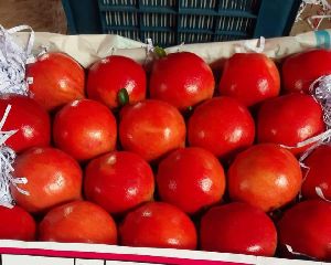 Pomegranate Fruits