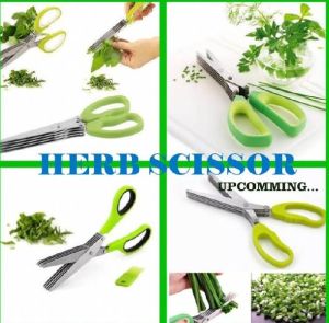 Herb Scissor