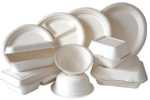 Bagasse Disposable Products.