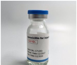 amoxicillin sodium injection