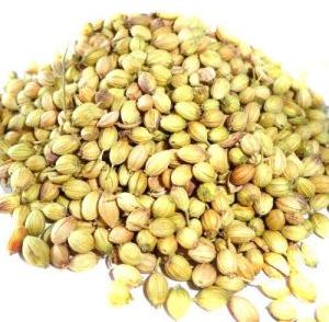 Coriander Seed