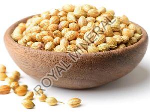 Dhaniya Seeds