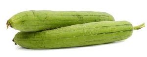 Sponge Gourd