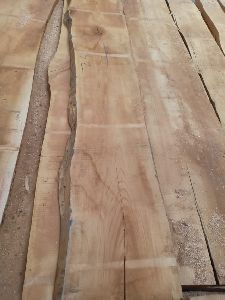 Steam Beech Wooden Plank