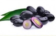 Herb Jamun Syzygium Cumini Seeds Powder