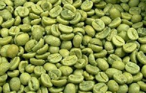 Green Coffee Beans