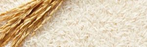 Basmati rice