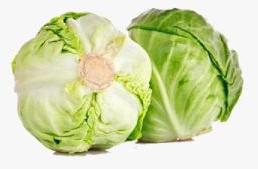 Cabbage