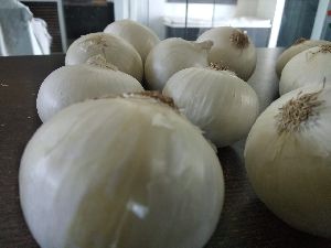 White Onion