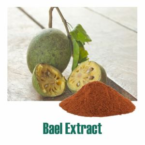 Bael Powder