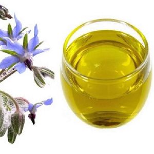 Borage Oil