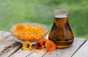 Organic Calendula Oil