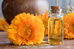 Calendula Oil