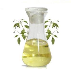 Camphor Oil