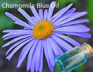 Chamomile Oil