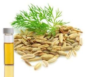 Dill Seed Oil