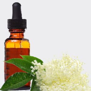 Elder Flower Extract