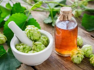 Hops Oil