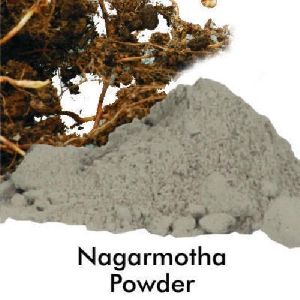 Nagarmotha Dry Etract