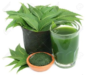 Neem Extract