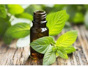 Spearmint Oil