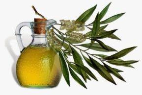 Tea tree Extract