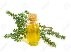 Thyme Oil