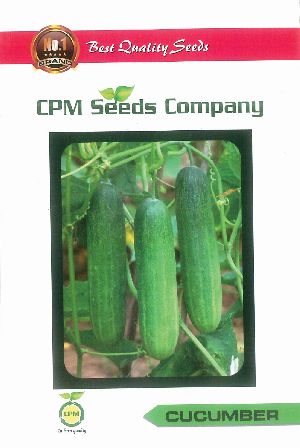 Green Cucumber Seeds