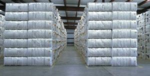 Cotton Bale