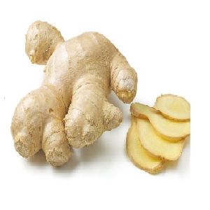 Fresh Natural Ginger