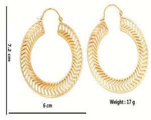 Hp249 Brass Hoop Earrings